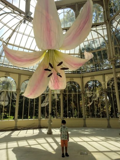 El niño bajo una flor gigante en el palacio de cristal del retiro