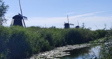 molinos Kinderdijk