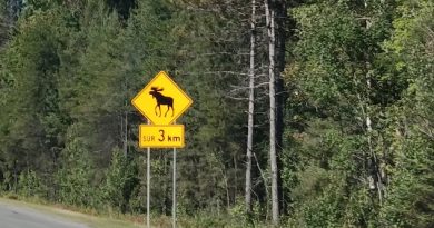 Road trip por Canadá
