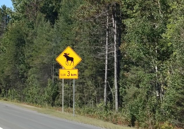 Road trip por Canadá